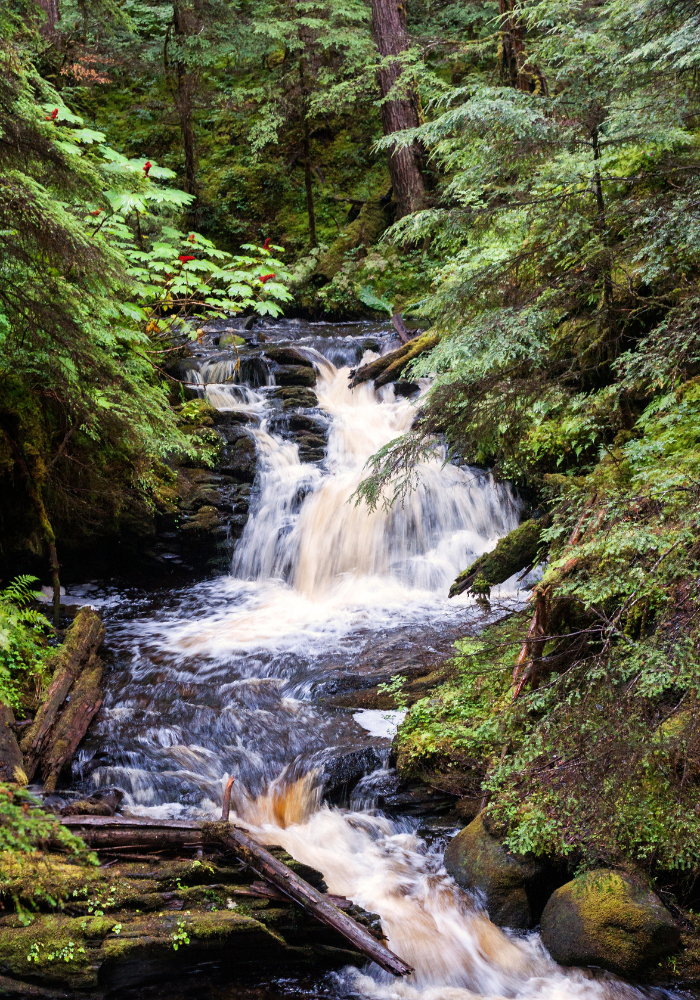 A waterfall in the Tongass National Forest in Ketchikan Alaska.