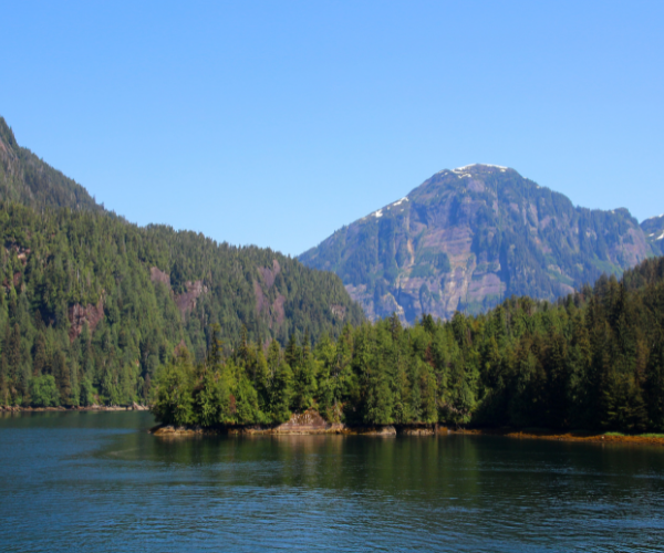The Tongass National Forest on a sunny clear day in Ketchikan with a mountain in the background